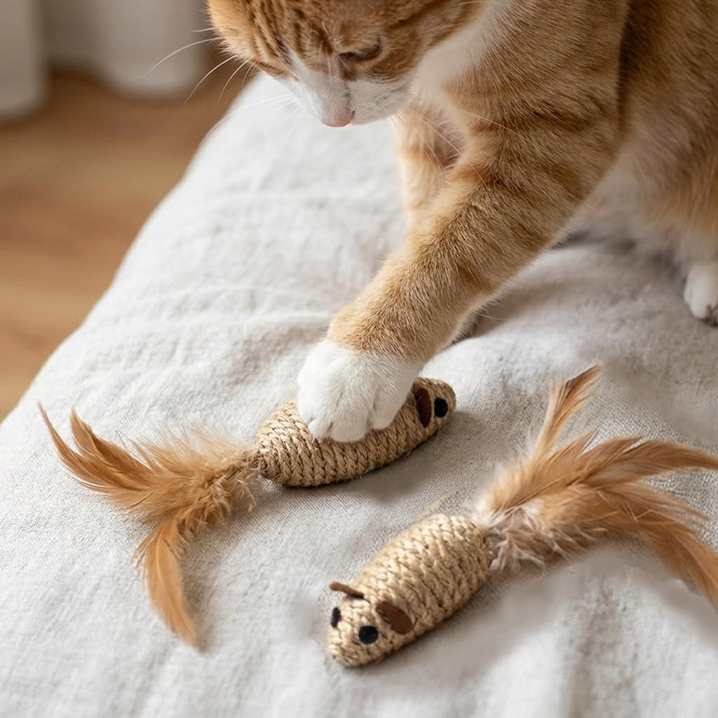 6 Pack Interactive Cat Toy - Crochet Mouse and Catnip Fish Set