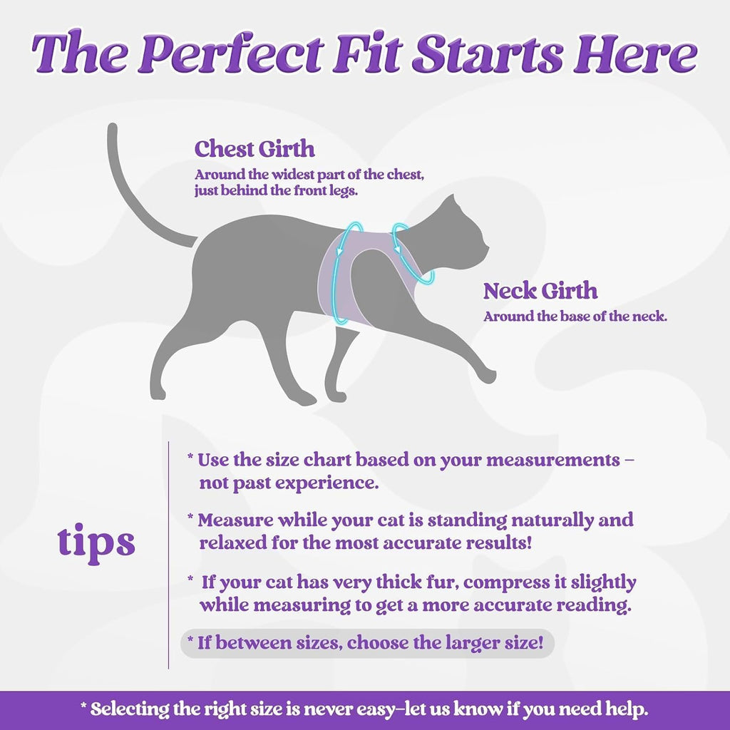rabbitgoo Cat Harness and Leash Set, Step-in Soft Vest, Purple
