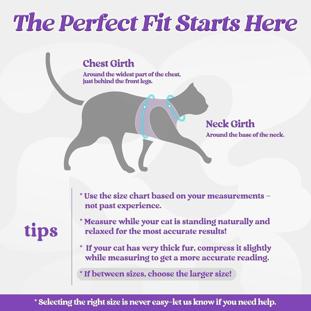 rabbitgoo Cat Harness and Leash Set, Step-in Soft Vest, Purple
