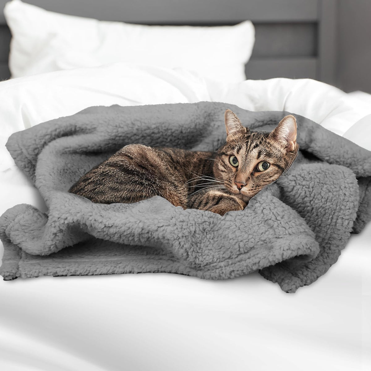 Pet Blanket, Soft Warm Sherpa Fleece Bed Blanket for Small Pets