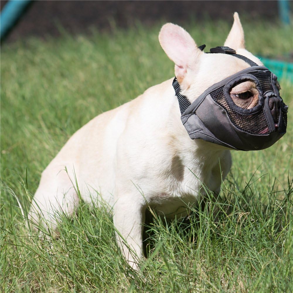 Short Snout Dog Muzzle- Adjustable Breathable Mesh Bulldog Muzzle for Biting Chewing Barking Training Grooming Dog Mask,