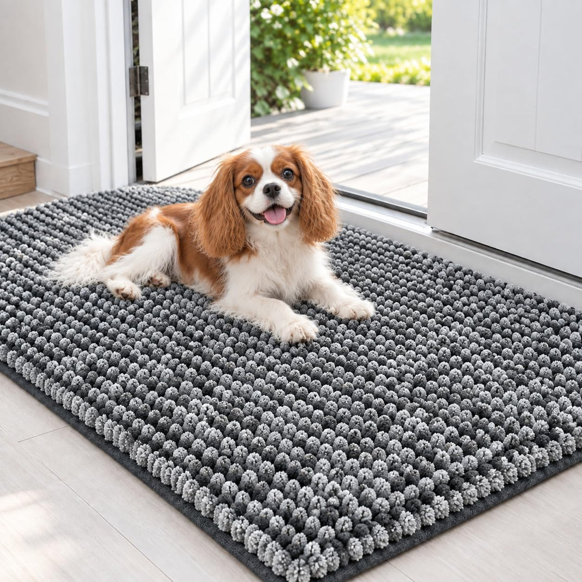 EHEYCIGA Super Absorbent Dog Door Mat for Muddy Paws 30x20 in. Entryway Rug