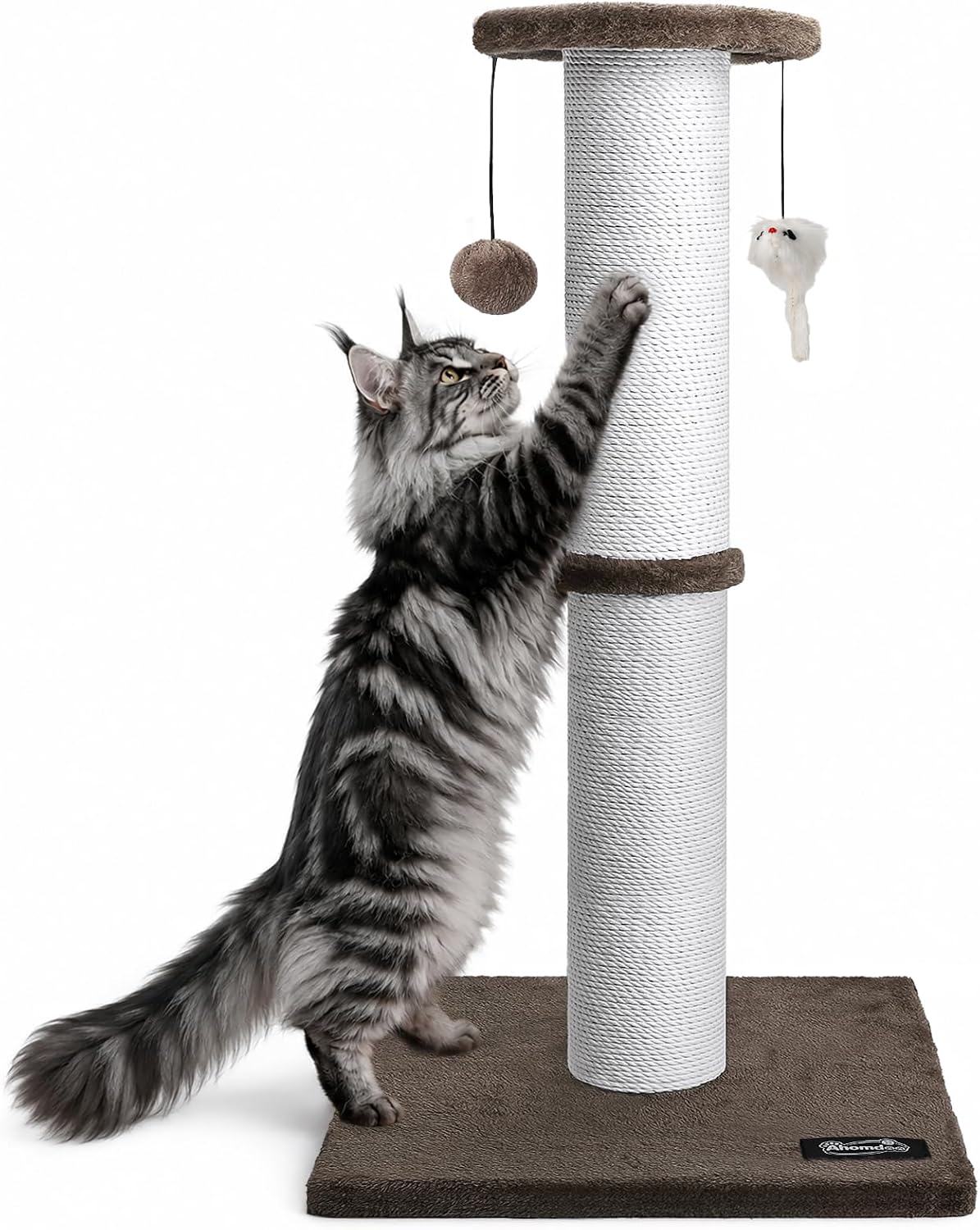 34-Inch Tall Cat Scratching Post for Large Cats, Stable Base, Gray