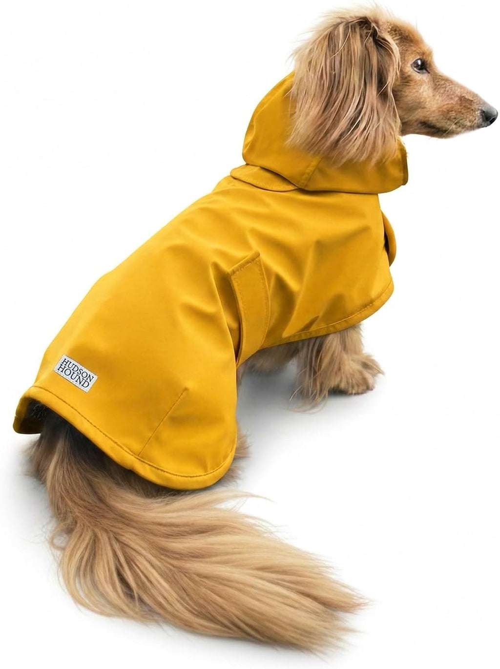 Long Dog Dachshund Raincoat, Waterproof Rain Jacket - Small