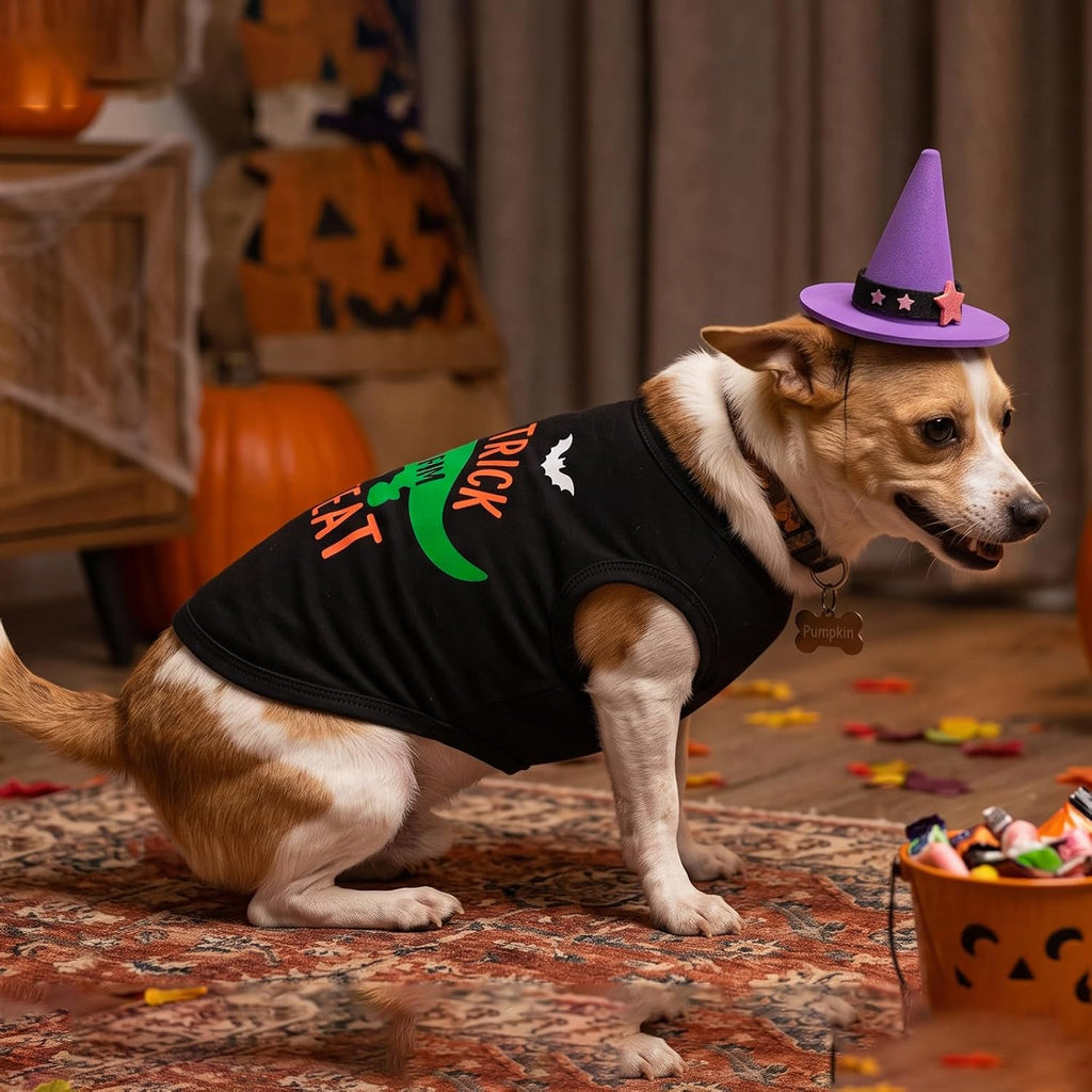 CuteBone Soft Halloween Dog Shirt Lightweight Small Puppy T-Shirts Pet Clothes Breathable Tee Vest Stretchy Outfit Cat A