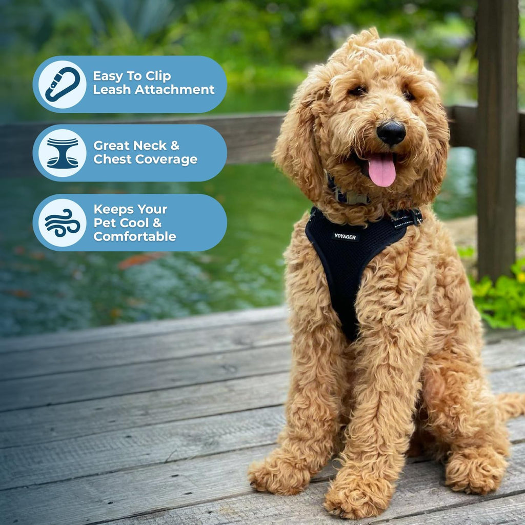 Voyager Step-in Flex Adjustable Dog Harness - Black, Small