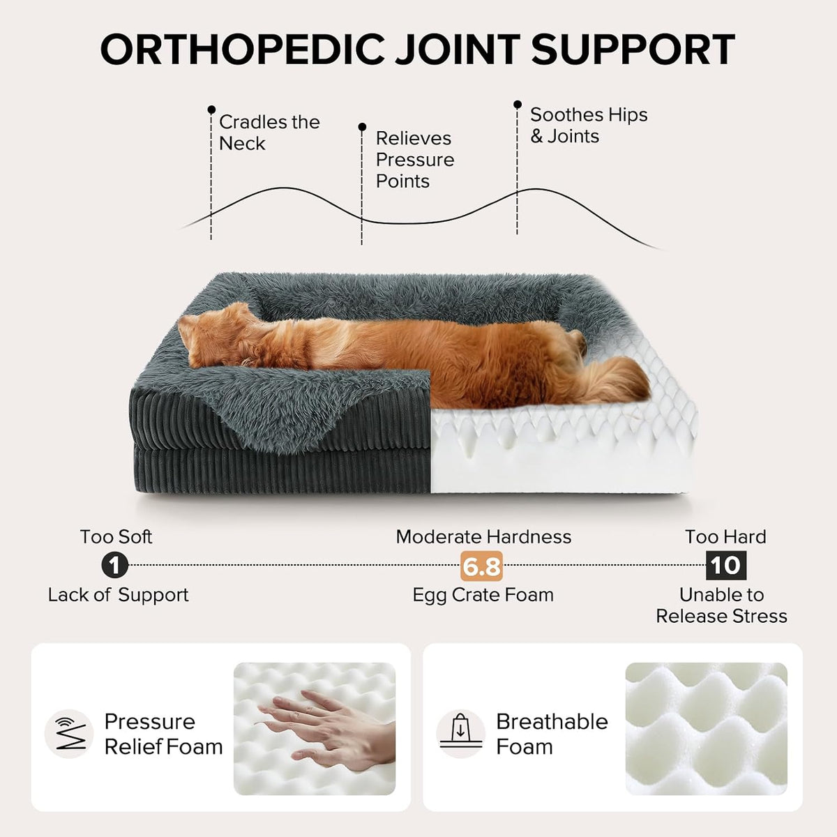 Orthopedic Dog Bed for Large Sized Dog, Washable XL Dog Couch Beds