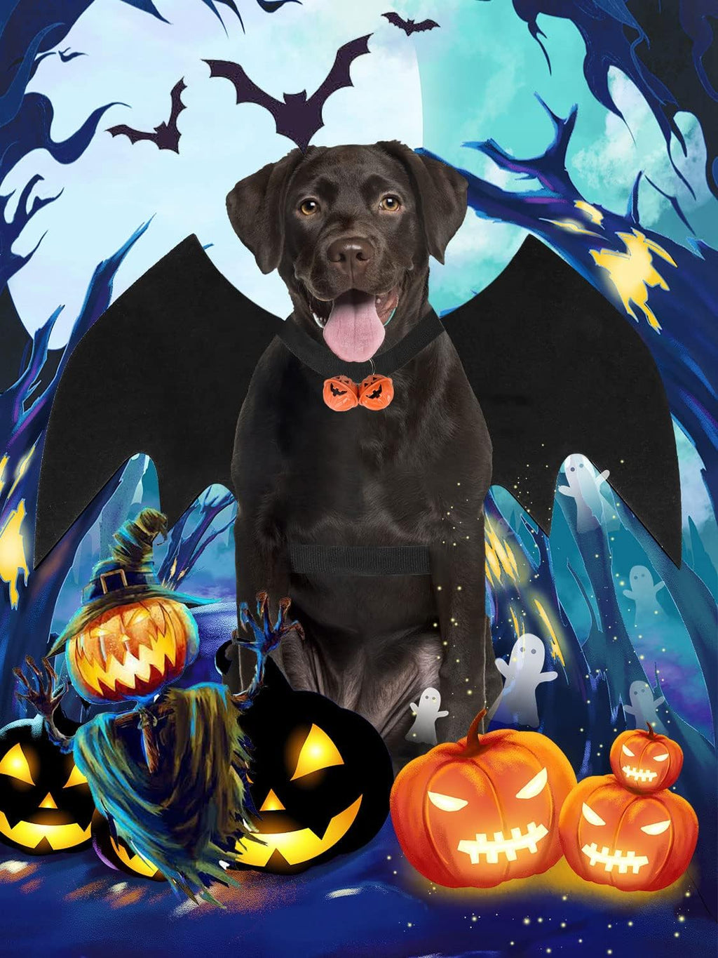 Halloween Dog Bat Wings Costume, Pet Halloween Cosplay Apparel, Adjustable Fit for Large Dogs (L)