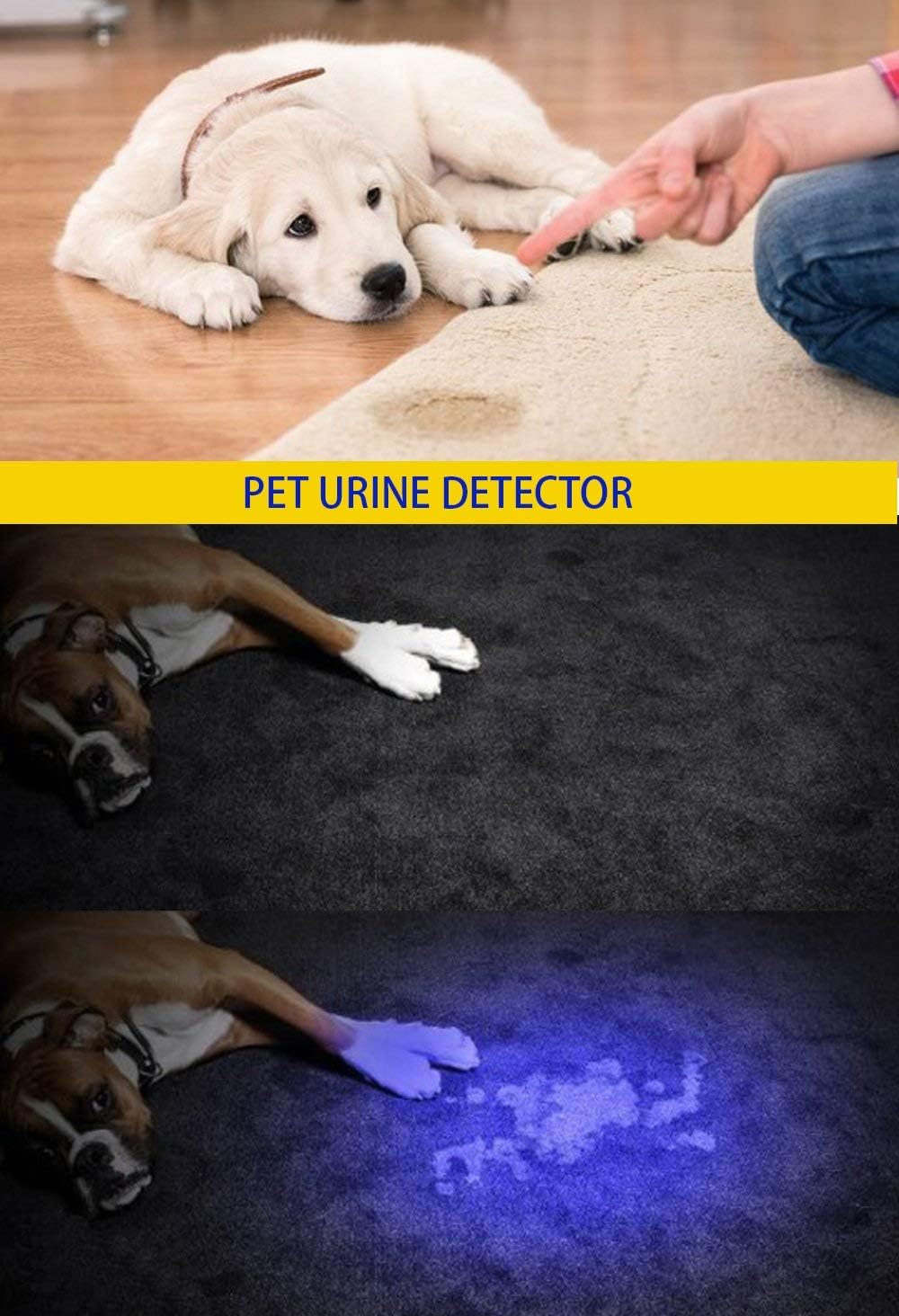 DARKBEAM UV 395nm Flashlight Blacklight Wood's lamp Black Light Mini, 400nm