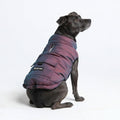 Spark Paws Dog Winter Coat Jacket - Warm Dog Clothes for Small Large Dogs