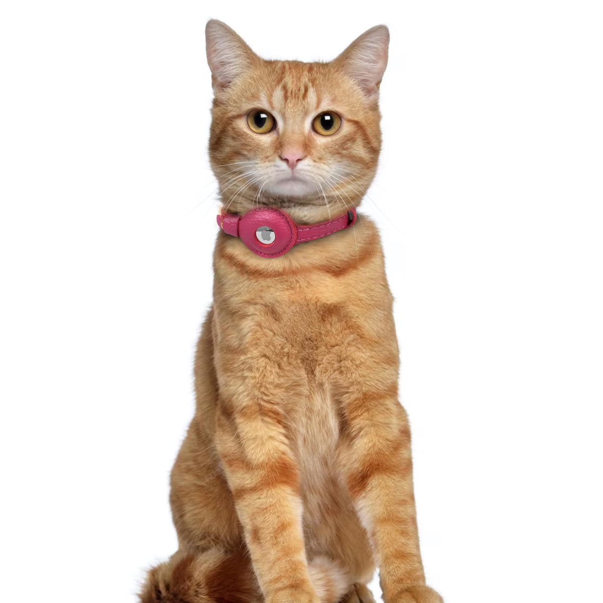 OOPSDOGGY Leather AirTag Cat Collar with Bell - Non Breakaway Kitten Collar with Apple Air Tag Holder - Lightweight GPS Pet Collars for Girl Boy Cats, Small Dogs, Puppies (Pink)