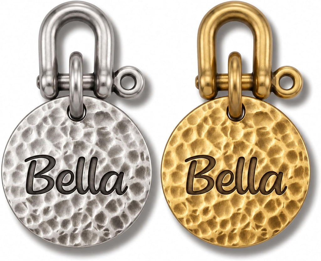 BONBOY Personalized Dog Tag, Engraved Pet ID Tag, Custom Dog Name Tag (Large, Brass)