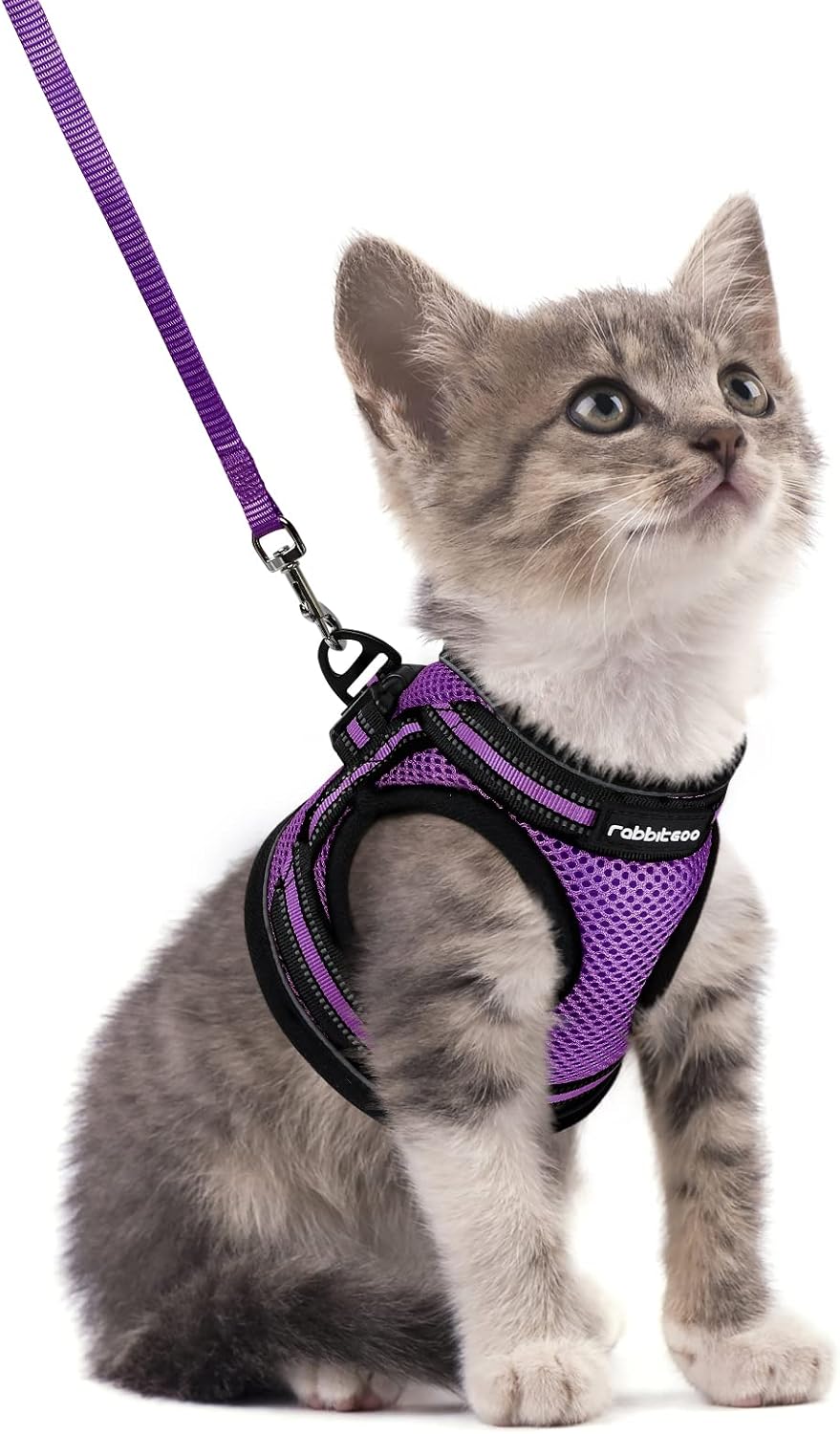 rabbitgoo Cat Harness and Leash Set, Step-in Soft Vest, Purple