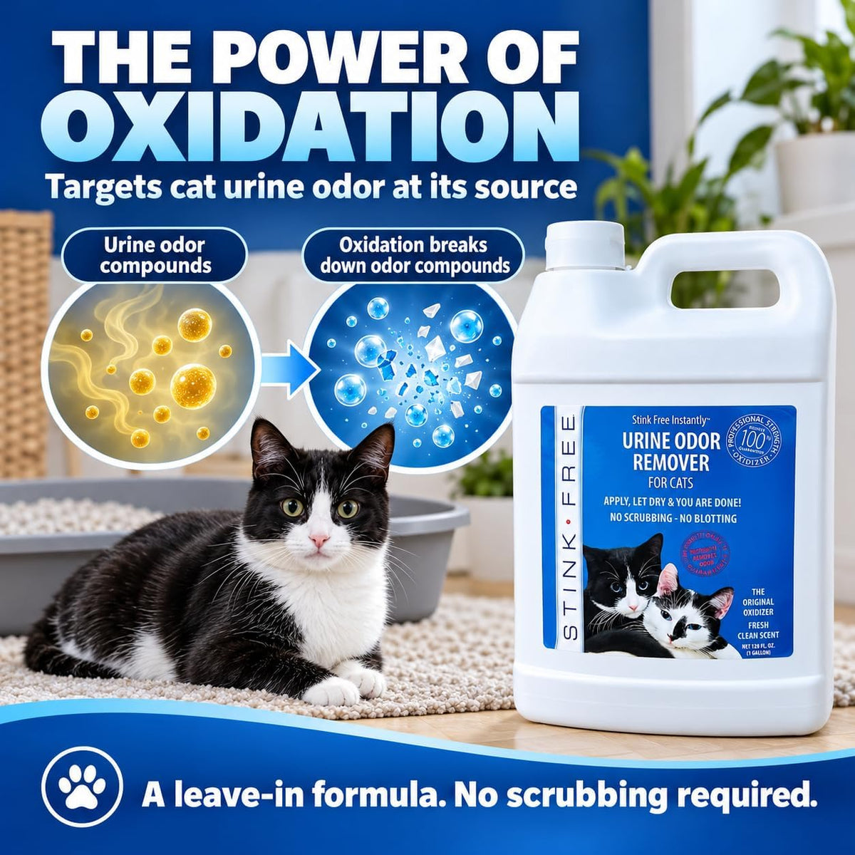 Instantly Urine Odor Remover & Eliminator for Cat Urine, Oxidizer Based Urine Cleaner for Carpets, Rugs, Mattress, etc. 