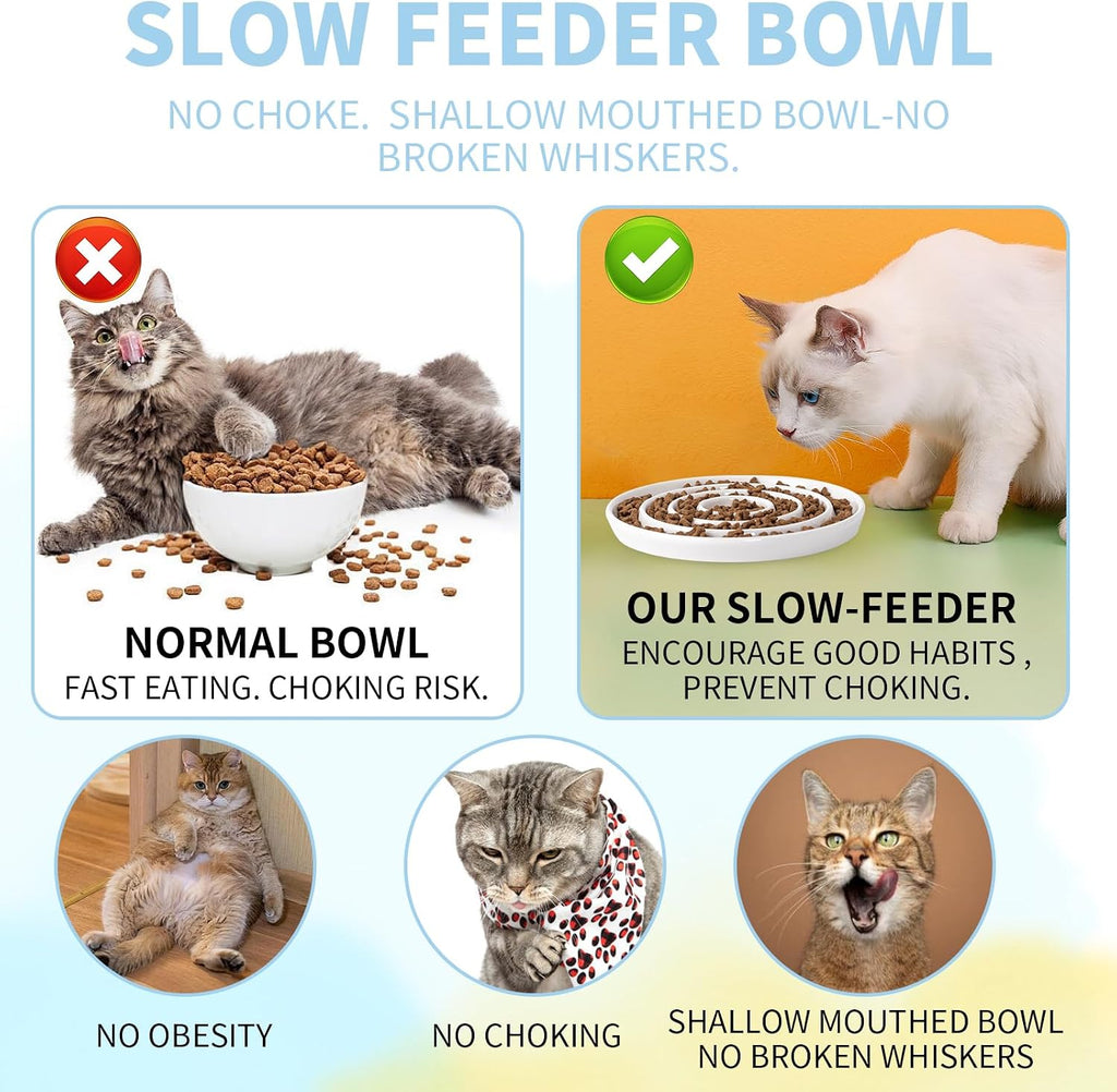Ceramic Cat Slow Feeder,Shallow and Wide Opening Dish for Whisker Friendly