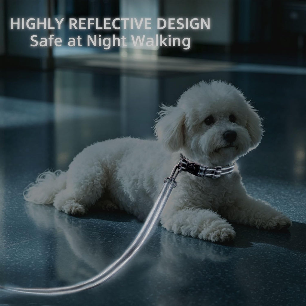 Airport Security Friendly Metal Free Dog Collar and Leash Set for Small Medium Dogs, Reflective Adjustable Collar