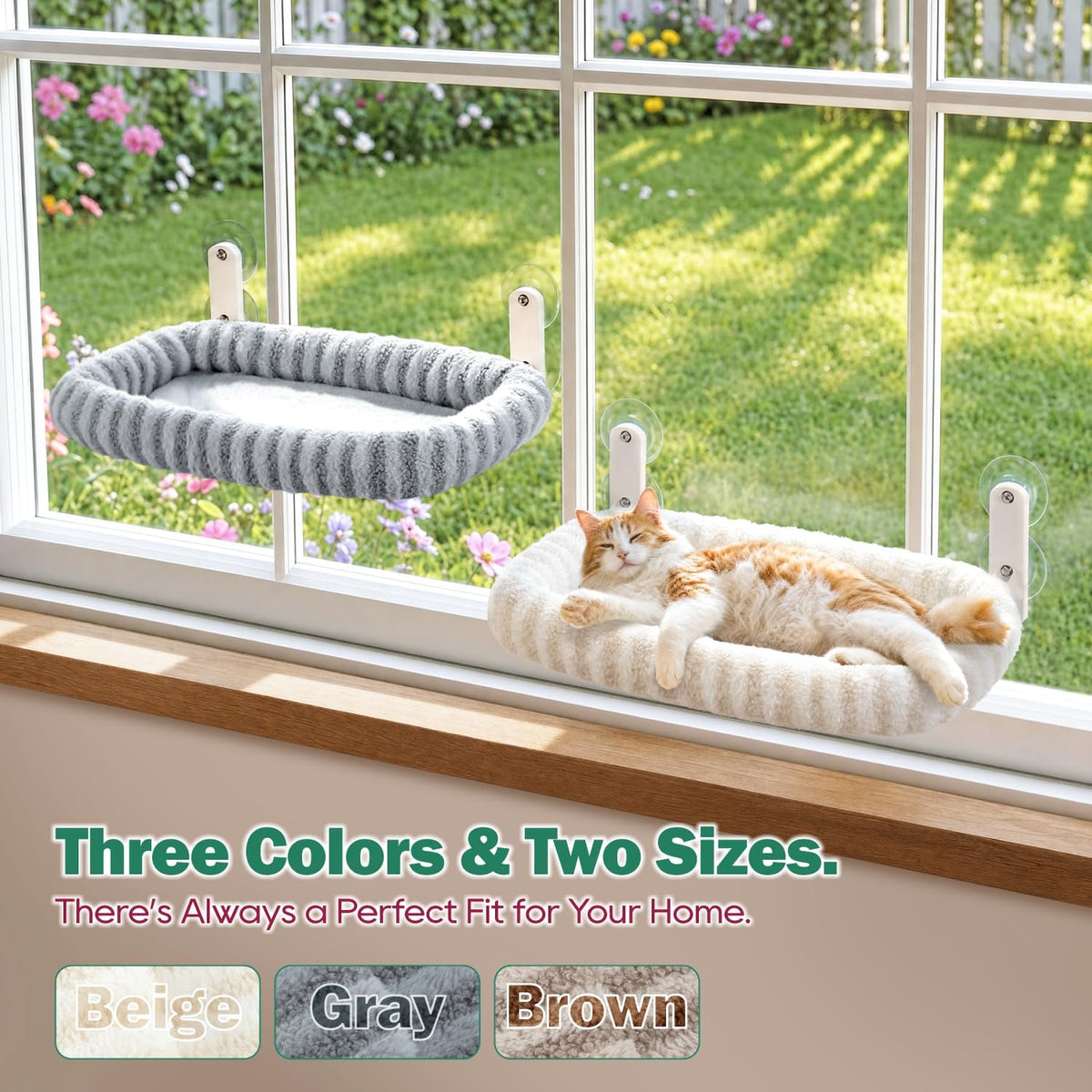 Zakkart Mellow Foldable Cat Window Perch, Upgraded Suction Cups (Beige, M)