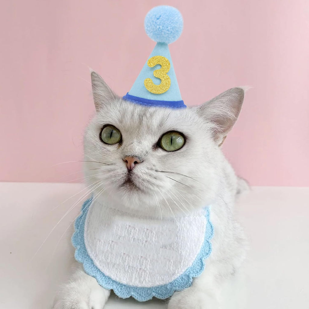 Pet Birthday Hat with Interchangeable Numbers 1-10 | Adjustable Pet Party Cone Hat for Dogs & Cats | Puppy Birthday Phot
