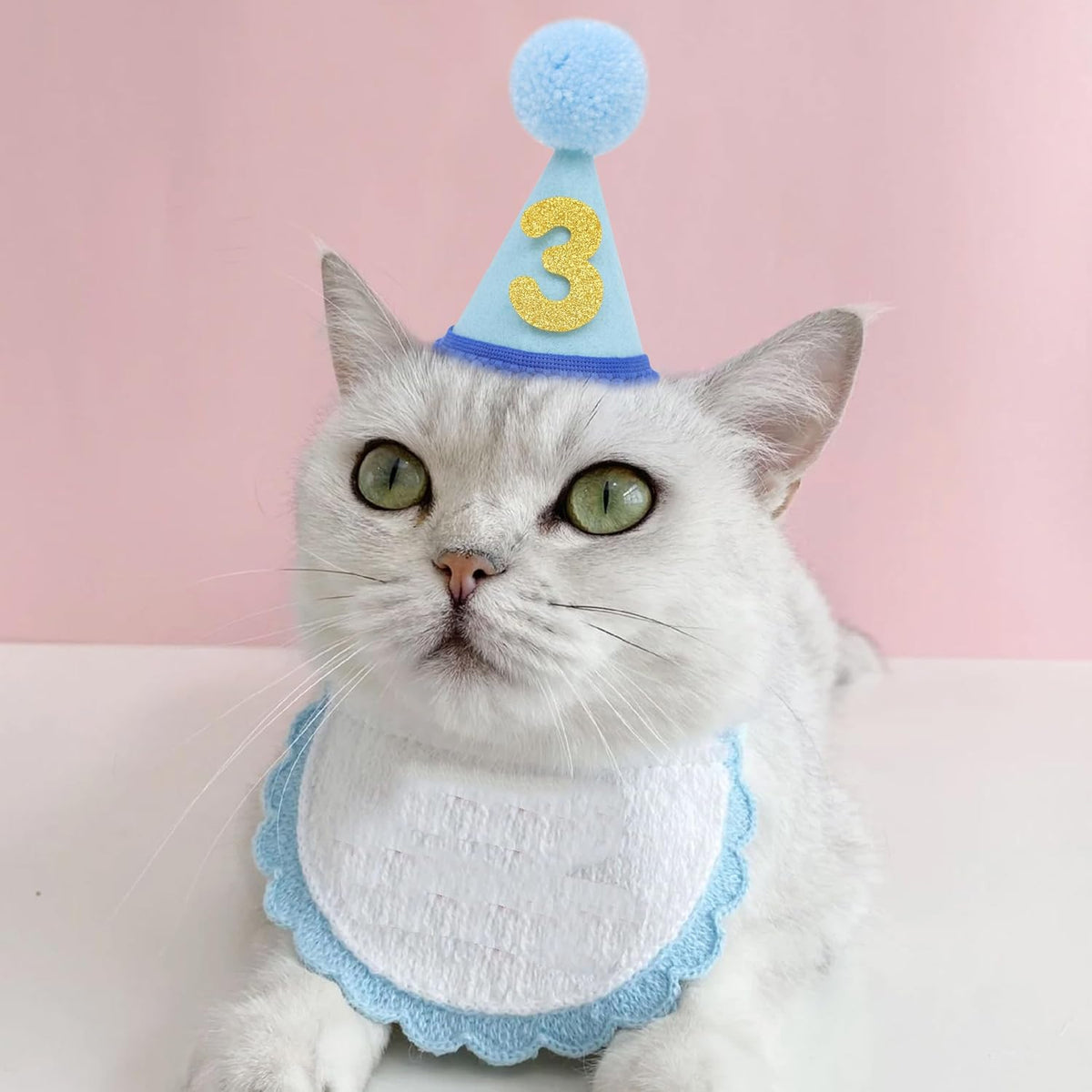Pet Birthday Hat with Interchangeable Numbers 1-10 | Adjustable Pet Party Cone Hat for Dogs & Cats | Puppy Birthday Phot