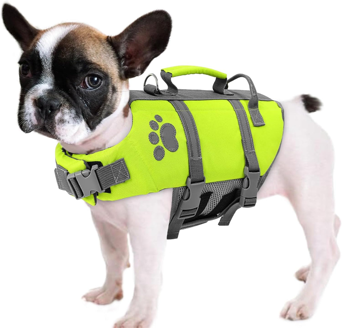 XS Dog Life Jacket, Puppy Life Vest for Swimming, Cat Swim Vest