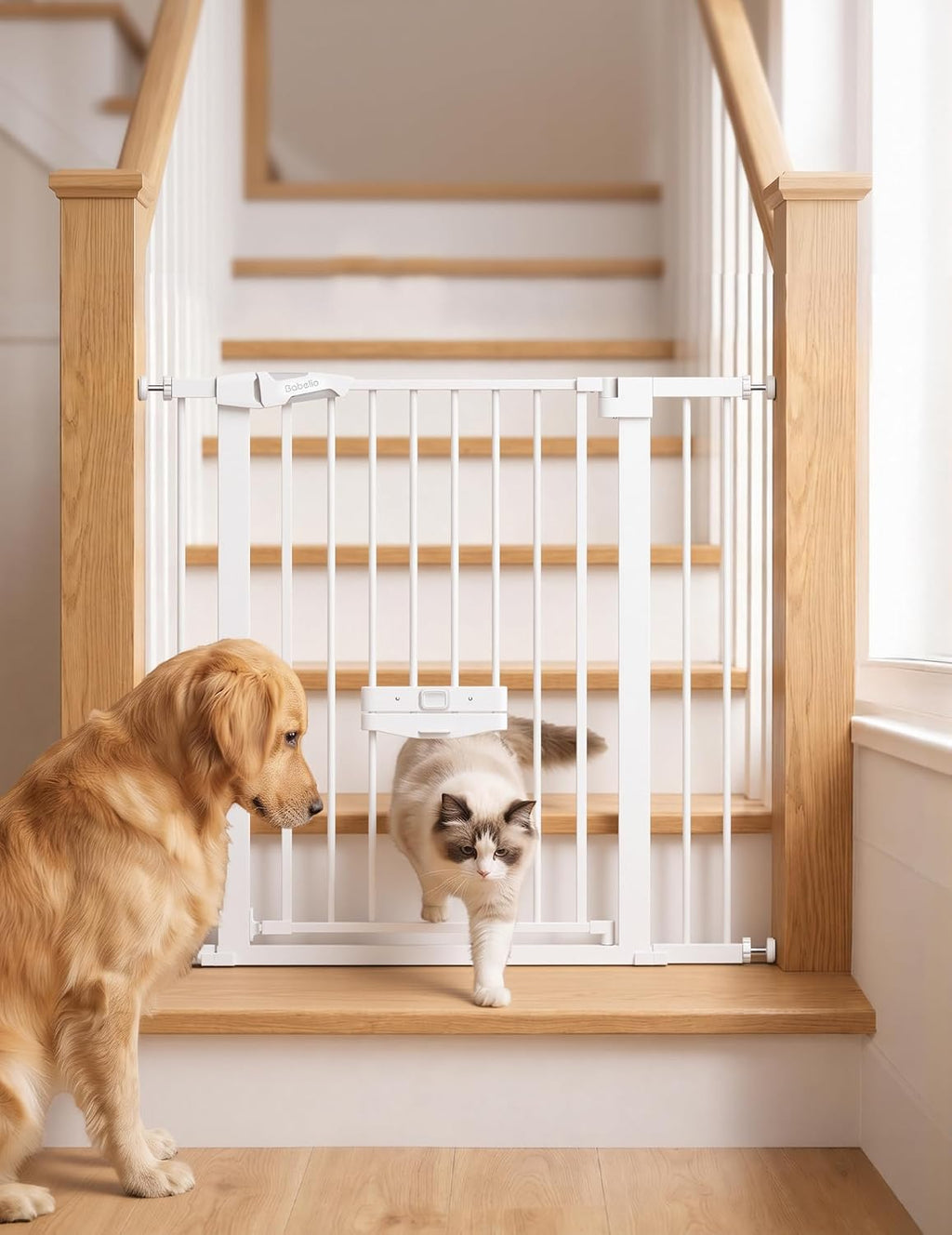 Babelio Dog Gate with Cat Door, CatPrivilege II, 29-40", White