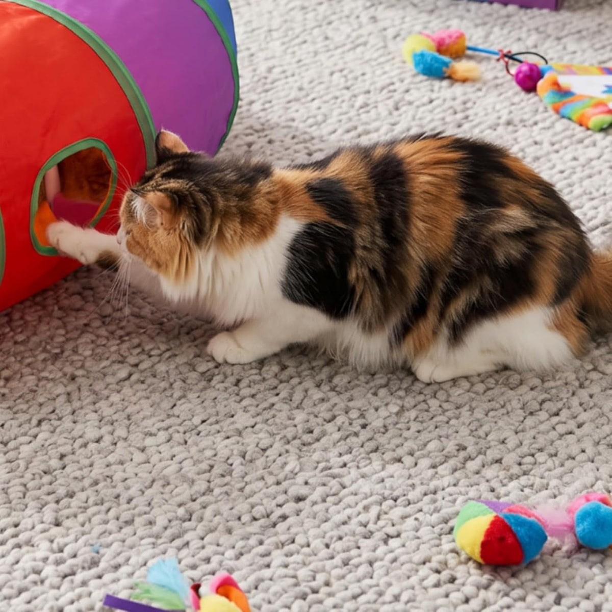 Lightweight Foldable up Tunnel, 125cm, S-Shaped Rainbow Tunnel