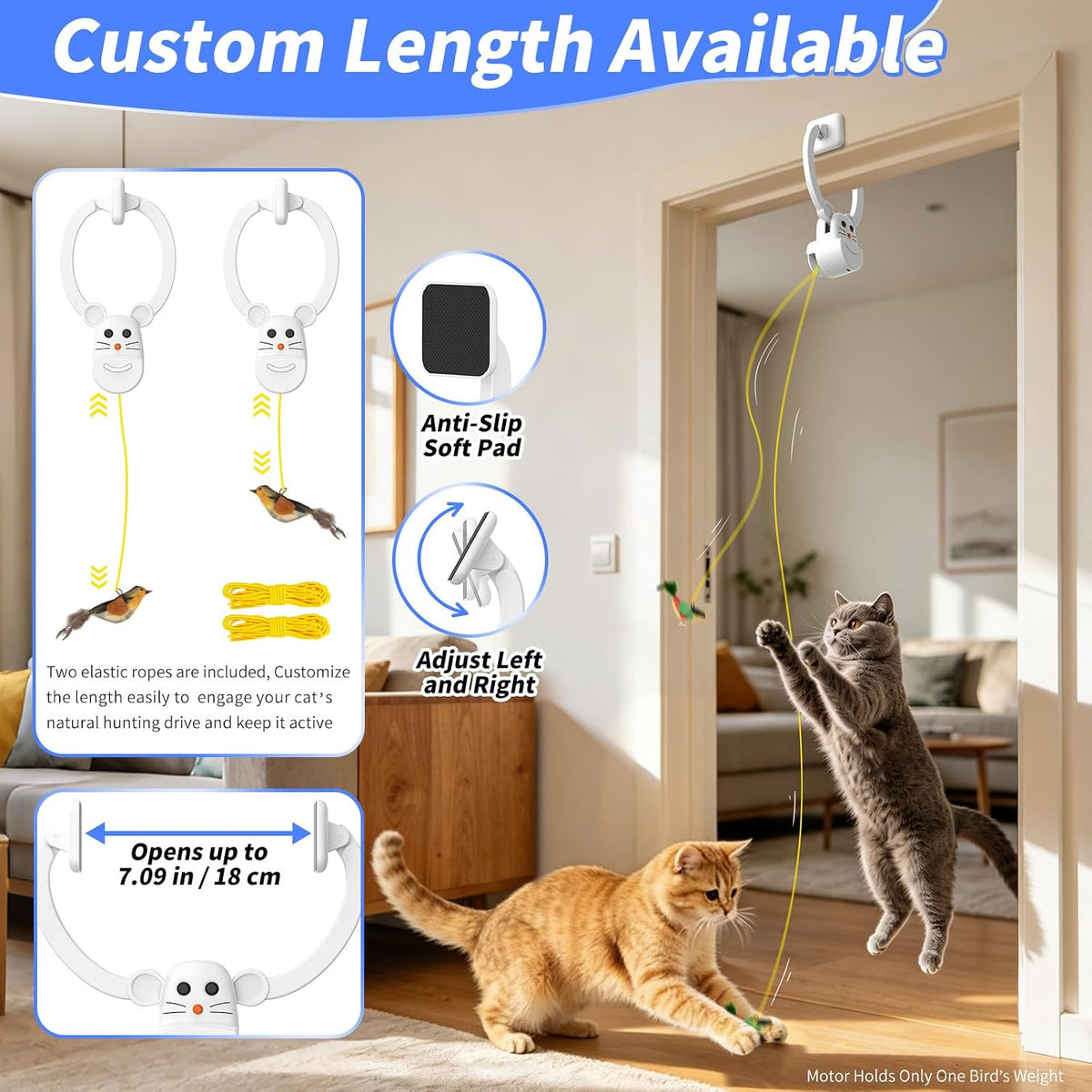 Interactive Cat Toys for Indoor Cats, Door Hanging Flying Bird Feather Toy