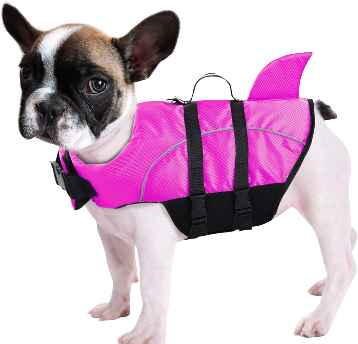 Ripstop Dog Life Jacket Shark Life Vest for Dogs, Safety Lifesaver with High Buoyancy and Lift Handle for Small and Medi