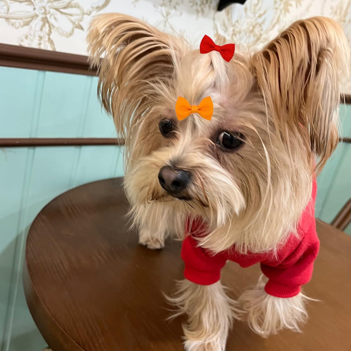 Dog Bows for Ears Small Size Dog Bowknot 2inch Hair Ties Bulk with Rubber Bands Dog Ear Bow Pet Accessories Grooming Pro