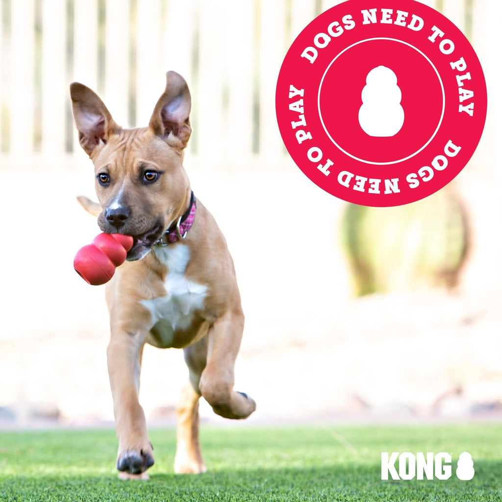 KONG Ring, Natural Rubber Chew Toy for Dental Health, for Small/Medium Dogs