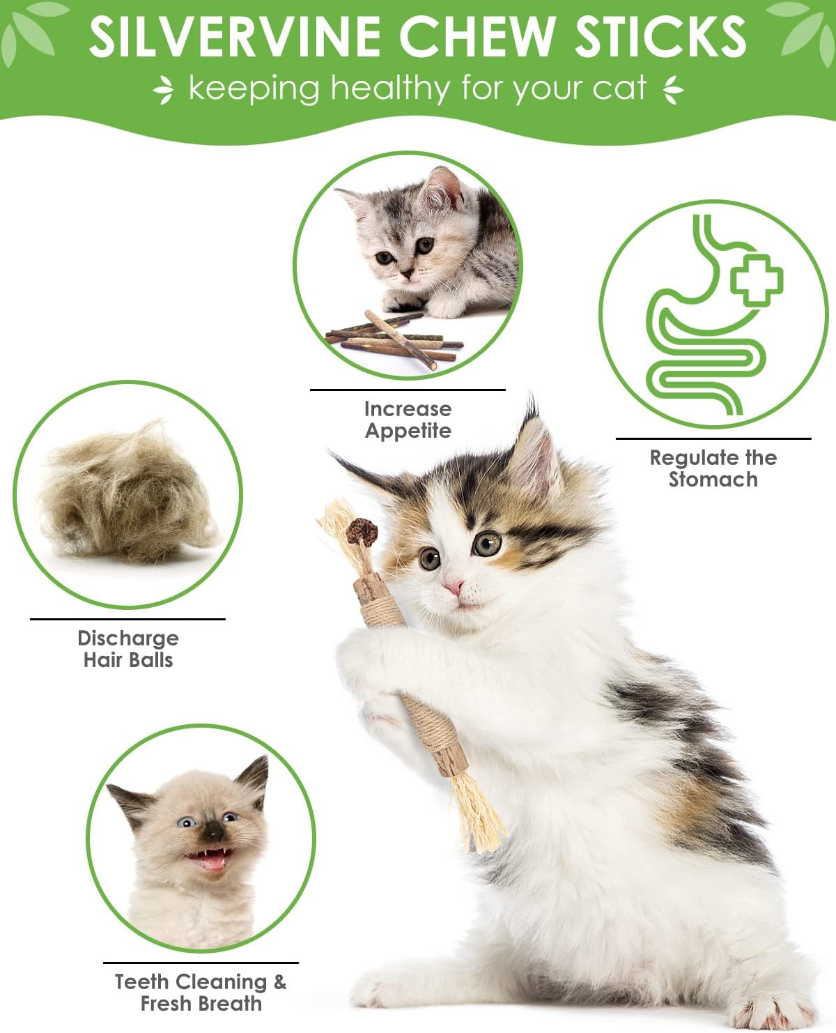 Catnip Chew Toys for Cats, 12 Pack Natural Silvervine Sticks