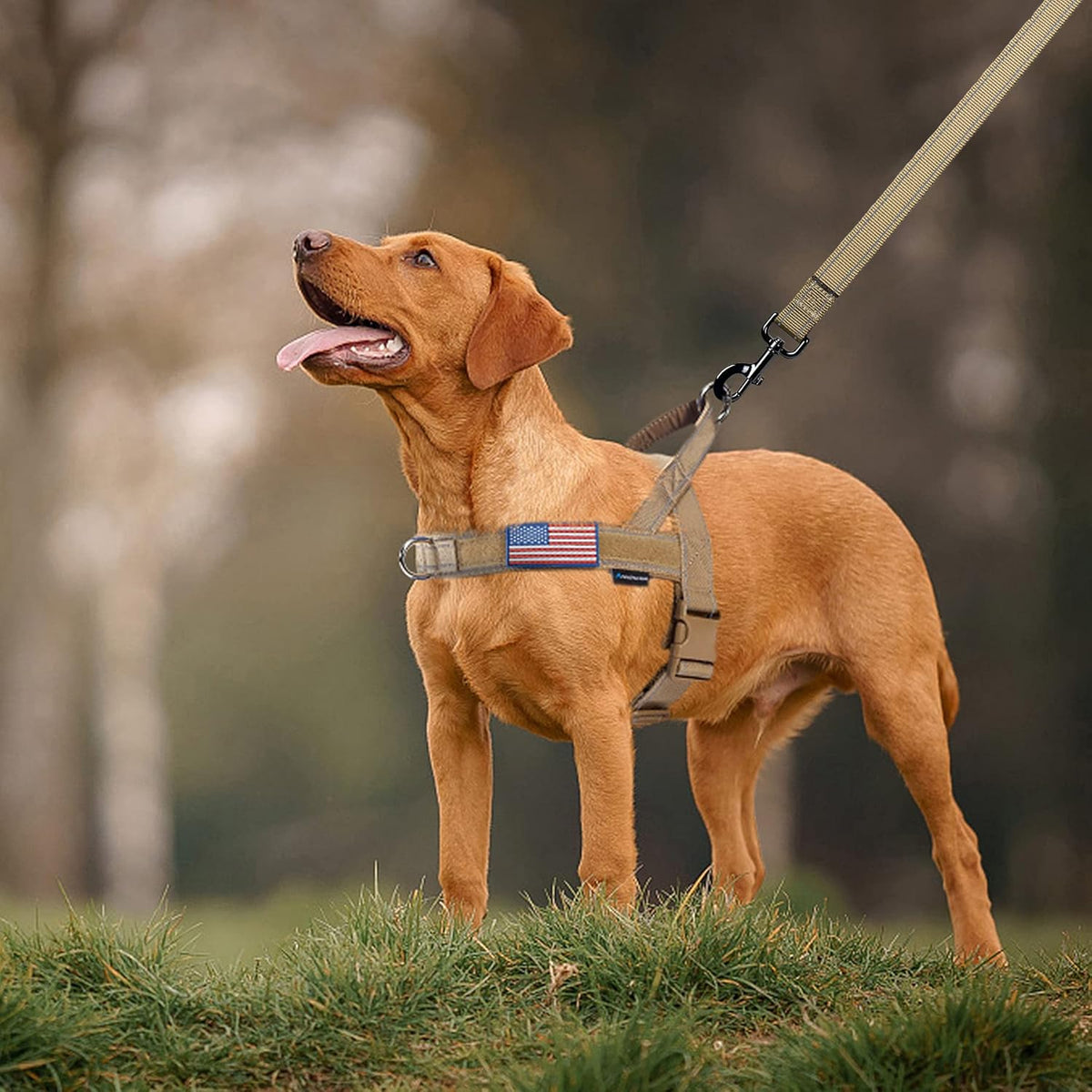 Annchwool No Pull Dog Harness with Soft Padded Handle & Front Clip(Brown,L)