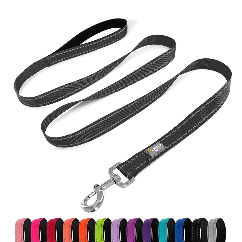 PenSeepet 6 FT Basic Dog Leash for Medium Dogs,Black