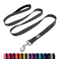 PenSeepet 6 FT Basic Dog Leash for Medium Dogs,Black