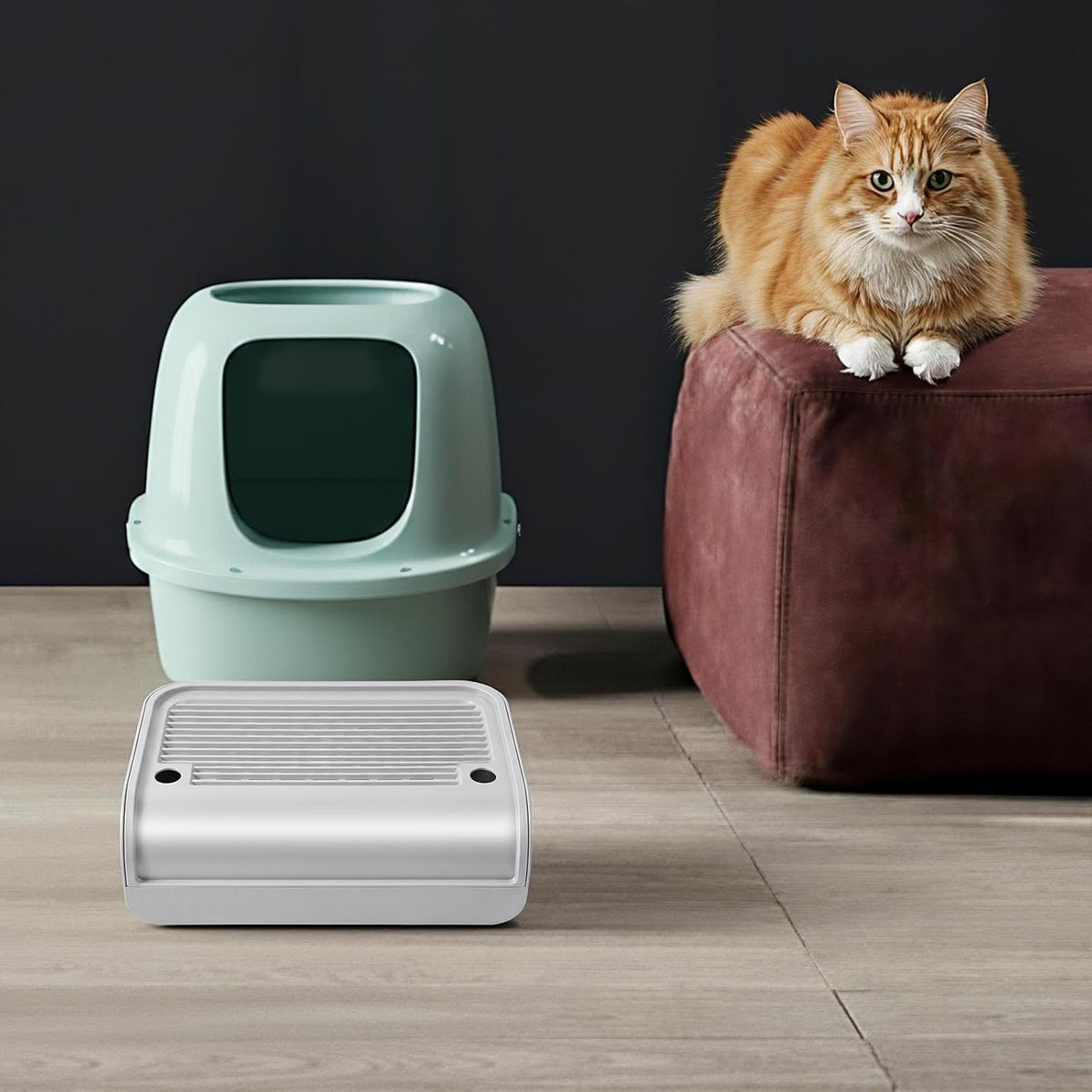 Free Standing Cat Ramp, Modern Litter Box Step for Household Pet Use