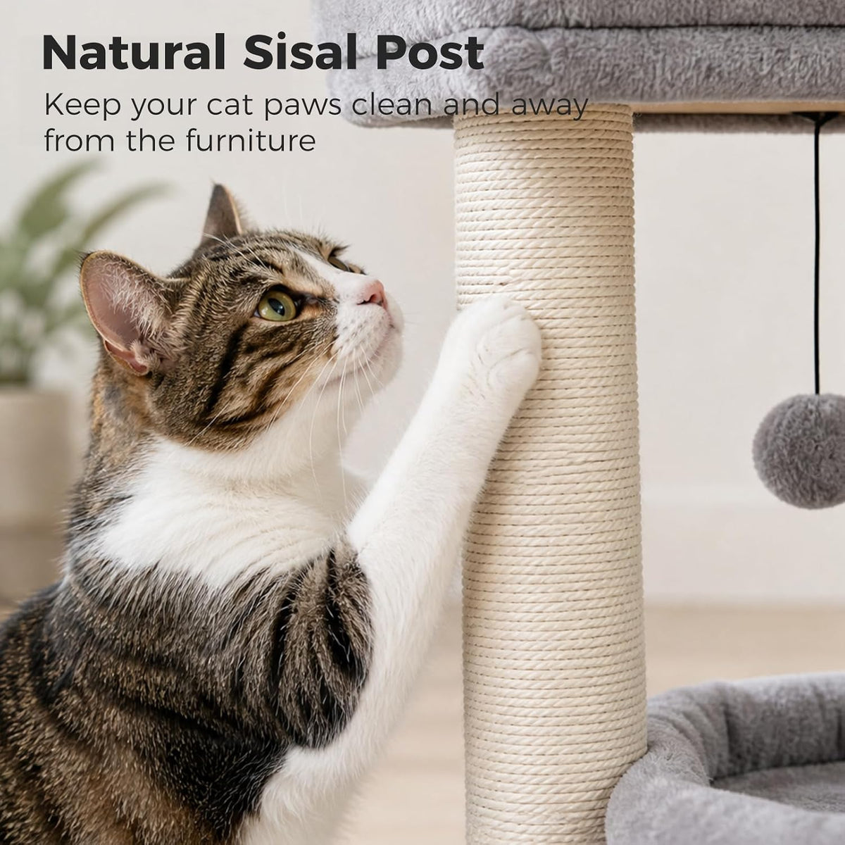 PEQULTI Small Cat Tree Tower for Indoor Cats, Sisal Post & Cozy Condo, Grey