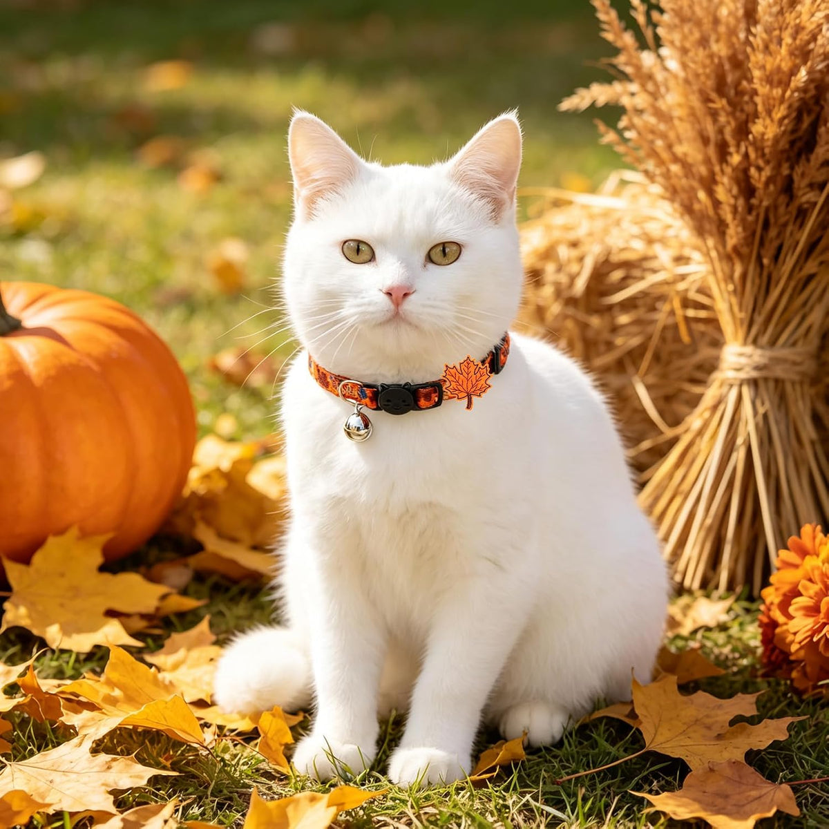 PUPTECK Fall Thanksgiving Cat Collar Breakaway with Bells, Kitten Outfit