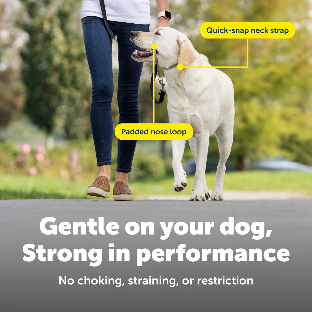 PetSafe Gentle Leader No Pull Dog Headcollar, Black, Medium
