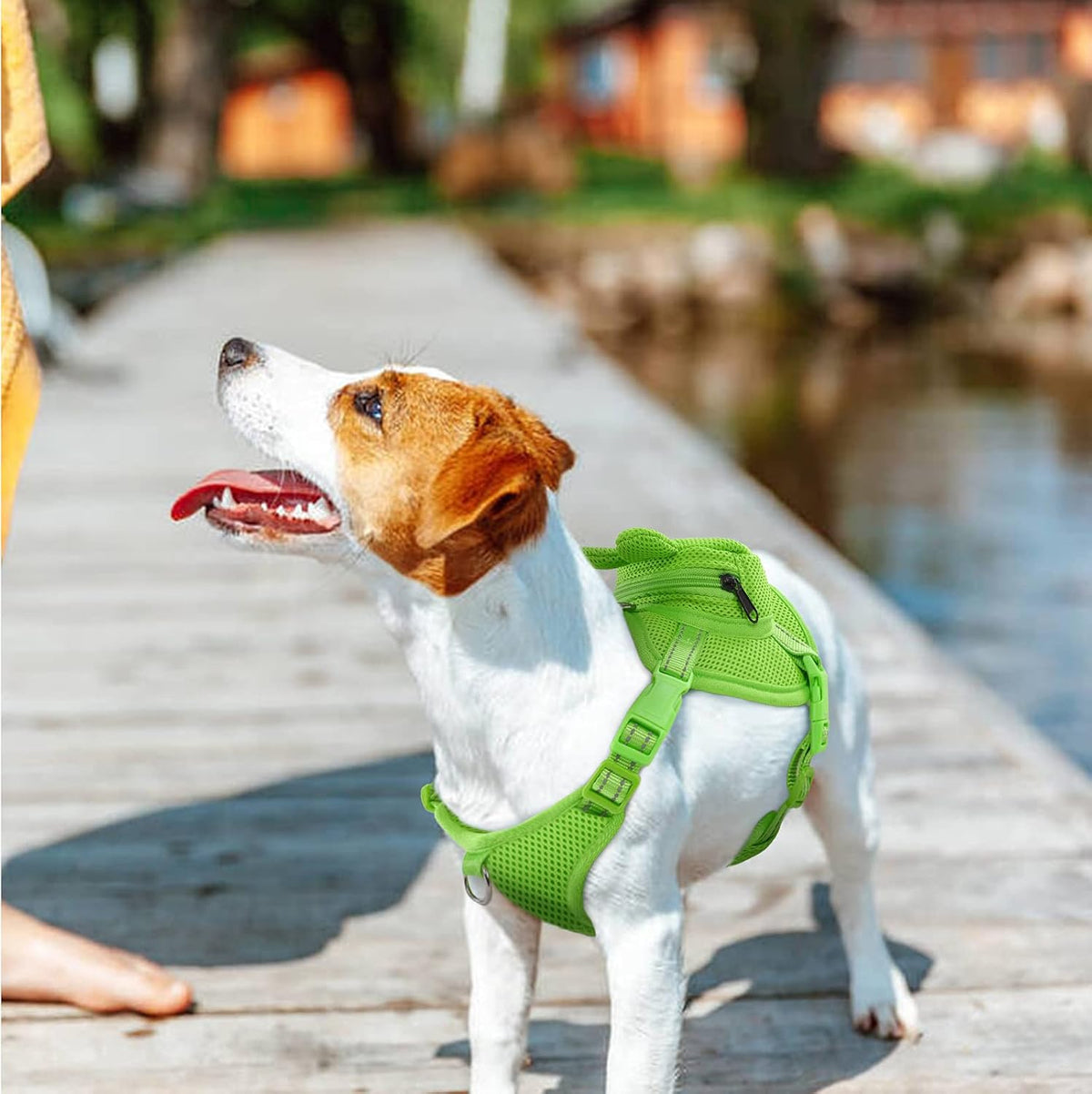 Dog Backpack Harness, No-Pull Dog Backpack with D-Ring,Frog,M