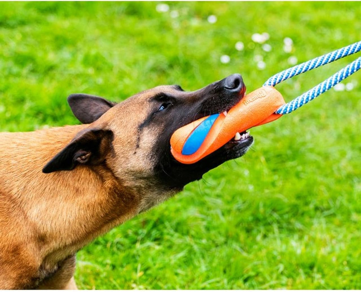 Chuckit! Ultra Bumper Tug Dog Toy,Orange,Medium