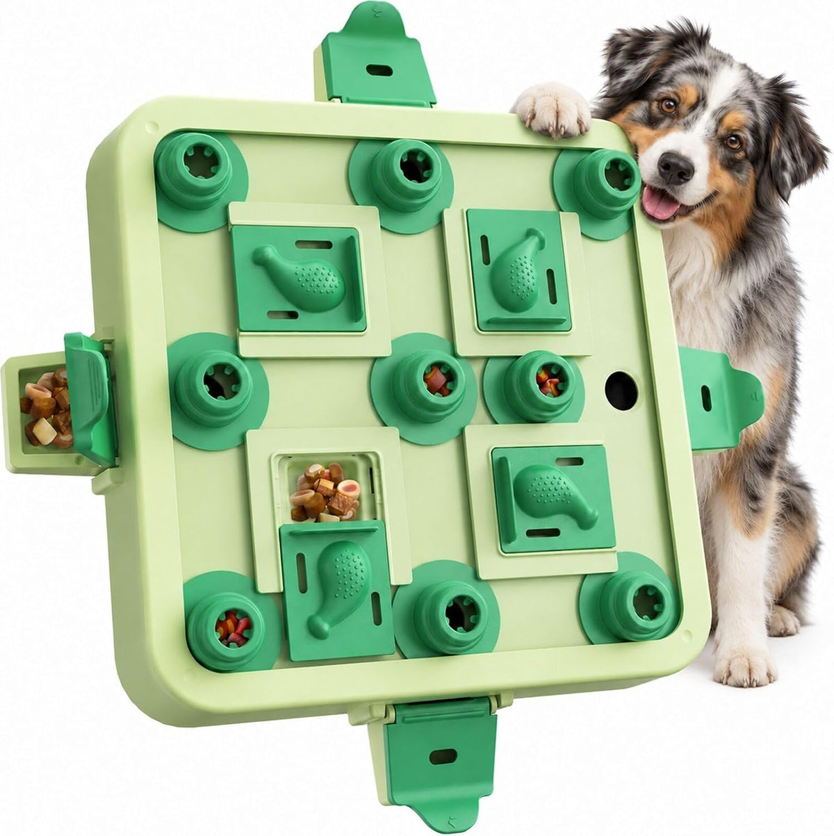Dog Chess Puzzle Toy, 3-Levels, Mental Stimulation for Smart Dogs