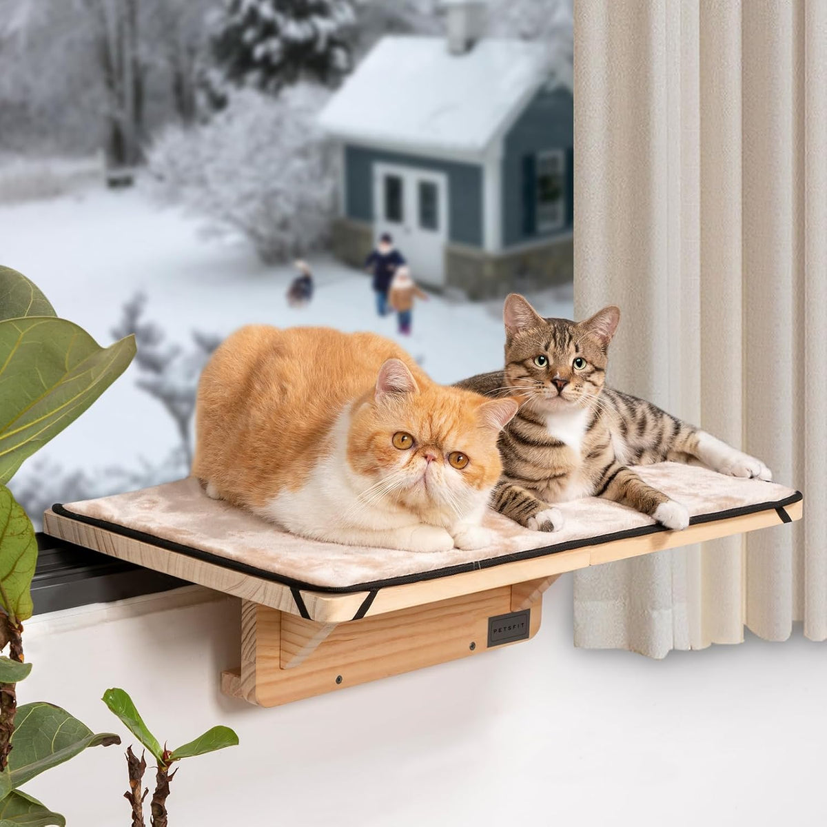 PETSFIT Cat Window Perch for 2 Cats, Adjustable, Solid Wood, Removable Mat