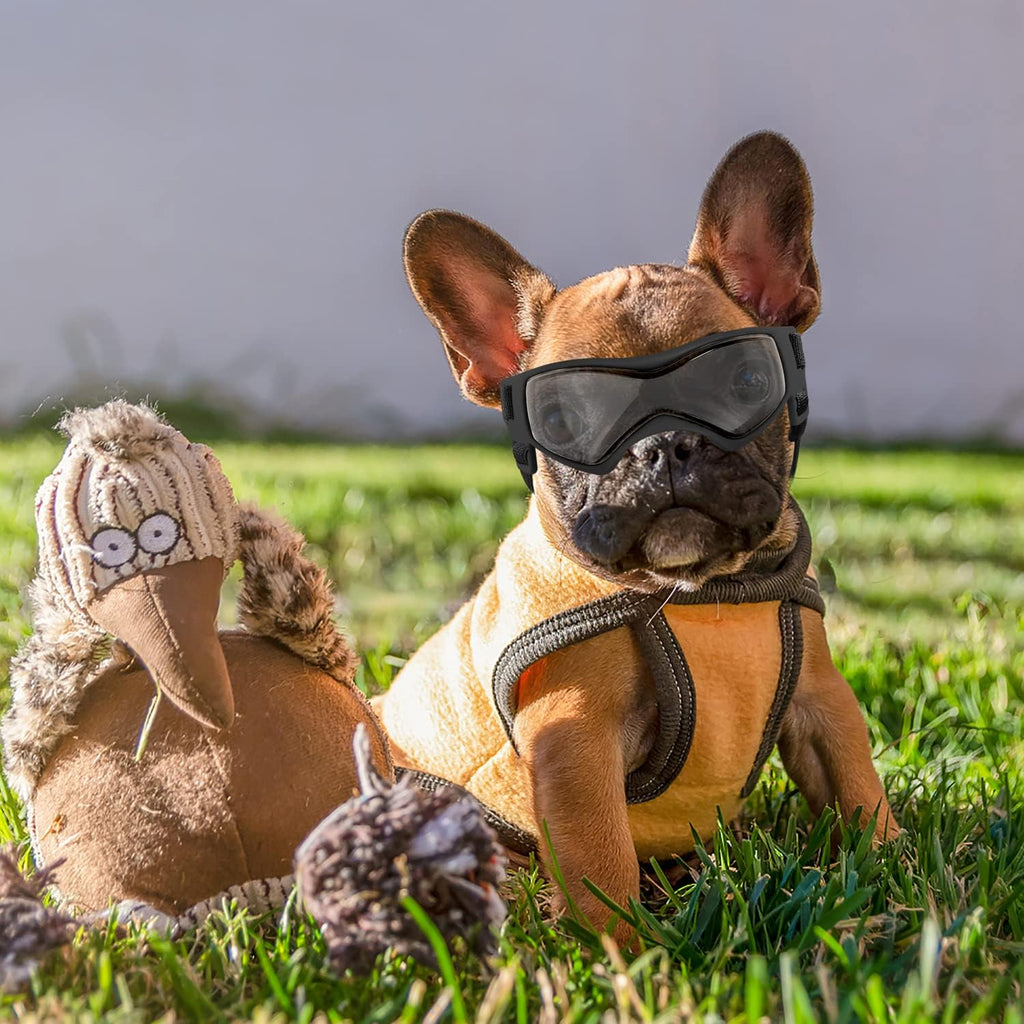 QUMY Dog Goggles Small Medium Breed Dog Sunglasses UV Protection Doggles