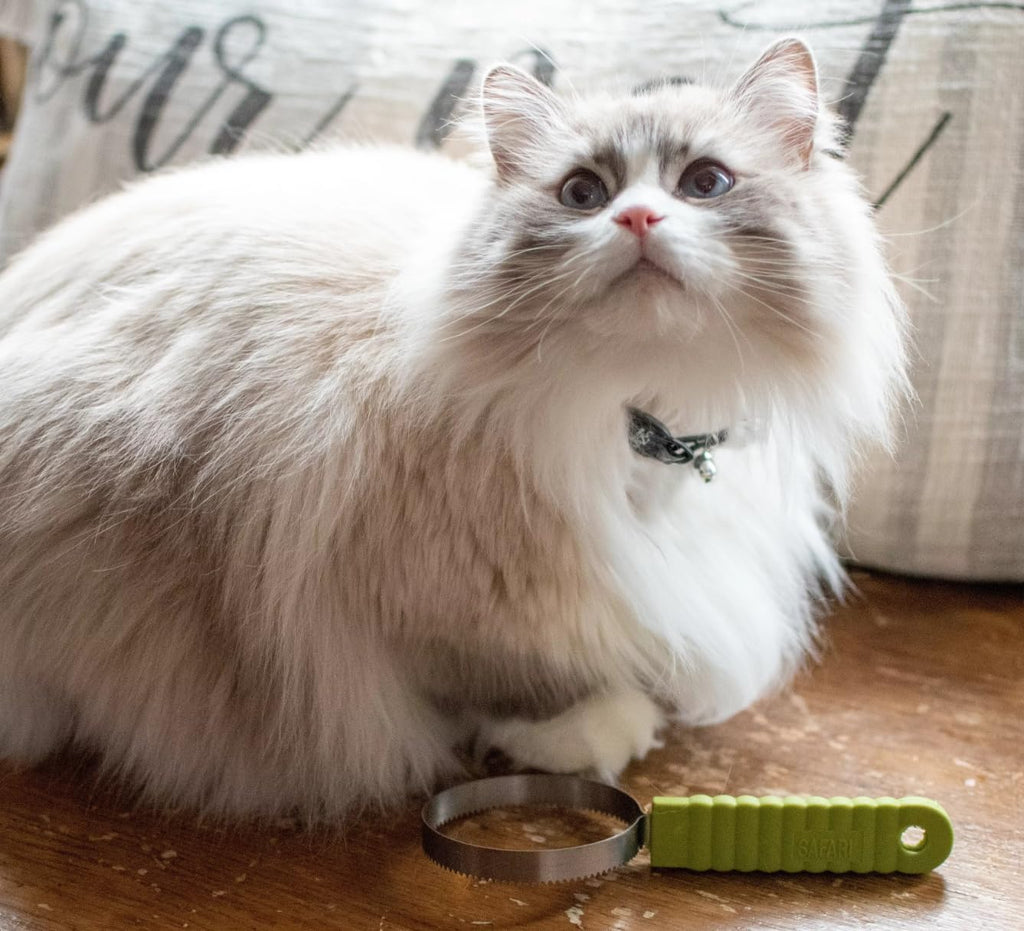 Coastal Pet Stainless Steel Safari Cat Shedding Blade - Cat Hair Removal Brush - Pet Grooming Tool to Prevent Hairballs 
