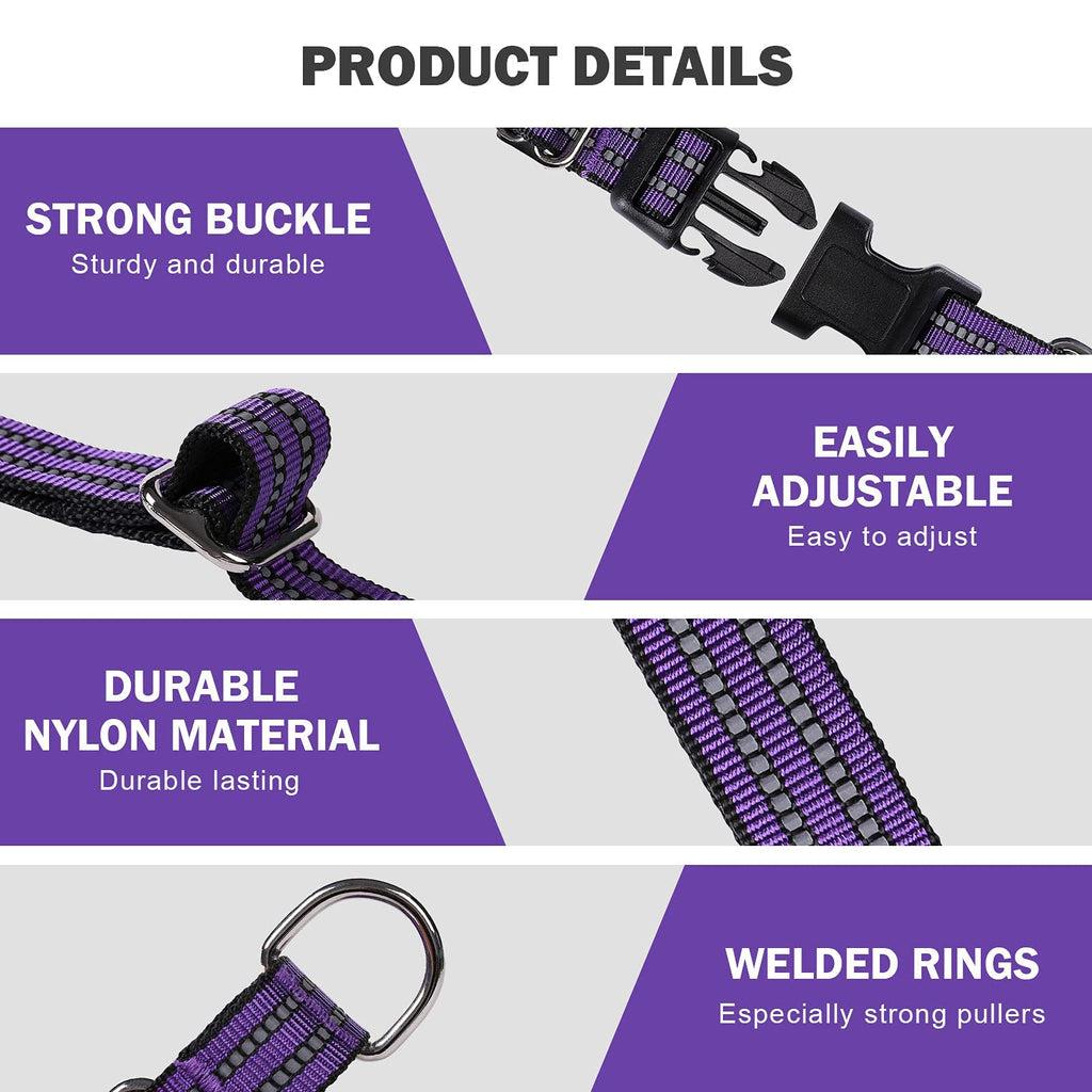 Martingale Collar for Dogs,Reflective Escape Proof,Purple,M