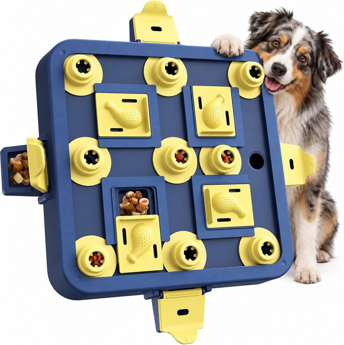 Dog Chess Puzzle Toy, 3-Levels, Mental Stimulation for Smart Dogs