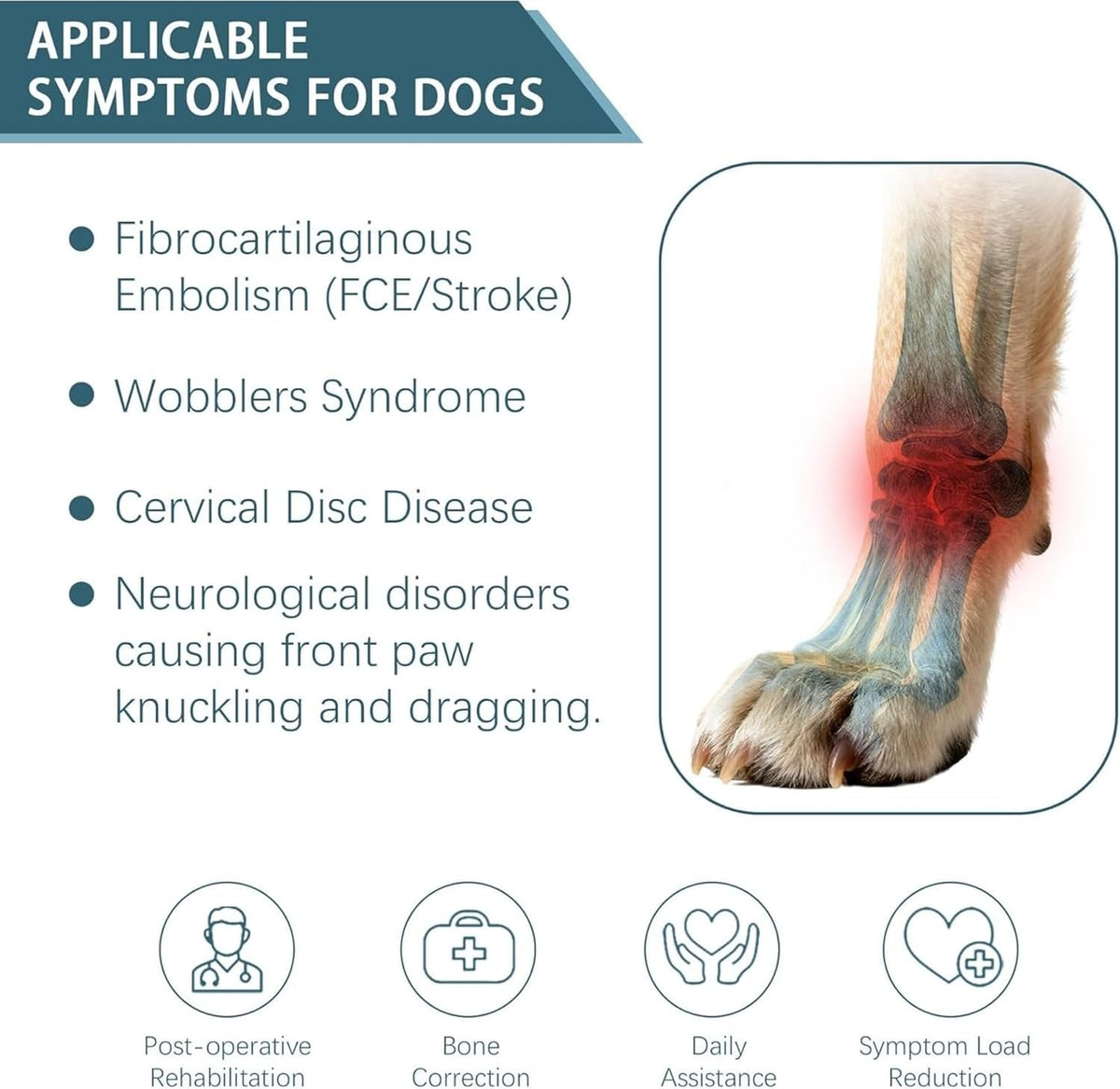 Paw Protectors for Dogs，Dog Brace for ACL Tear Back Leg，Corrective Dog Shoes Safely Lift Toes, Dog Brace for ACL Tear, A
