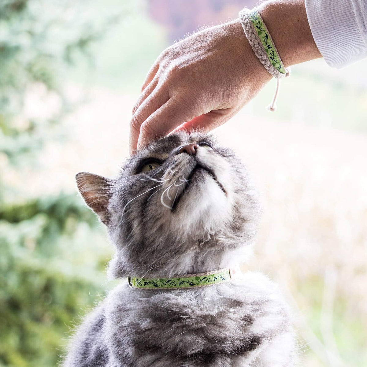 Breakaway Cat Collar & Matching Friendship Bracelet, Green