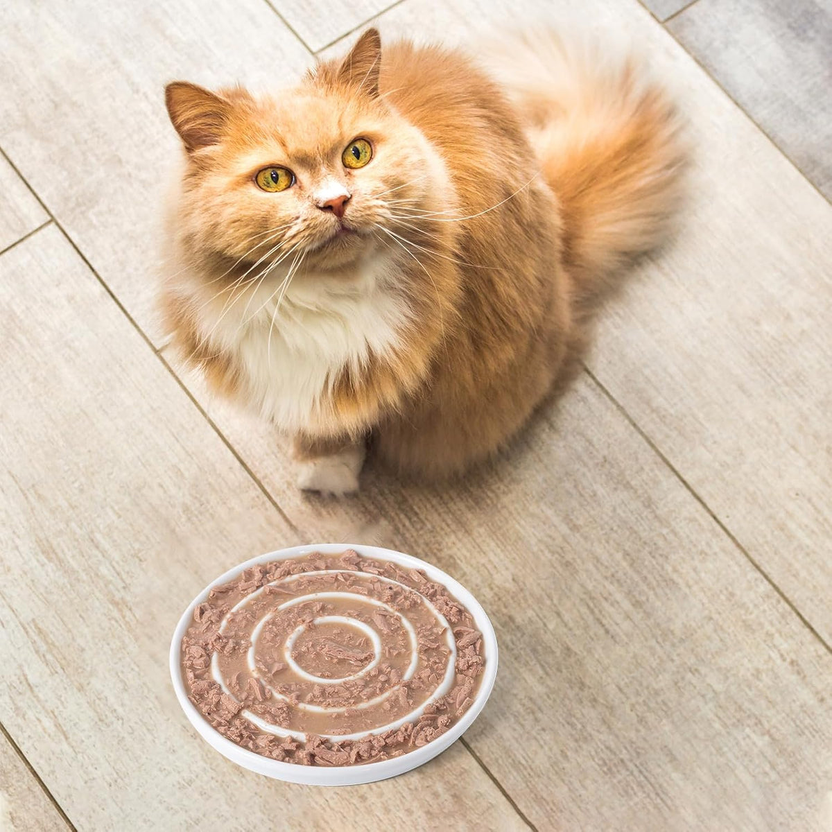 Ceramic Cat Slow Feeder,Shallow and Wide Opening Dish for Whisker Friendly