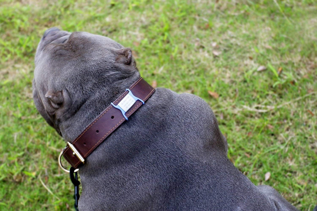 Personalized Silent Slide On Puppy Dog Cat ID Tags